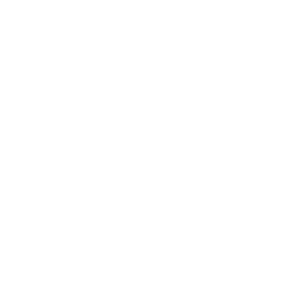 Missioncybersecurity200X200Trans 4 1